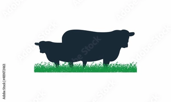 Obraz cow on grass vector image