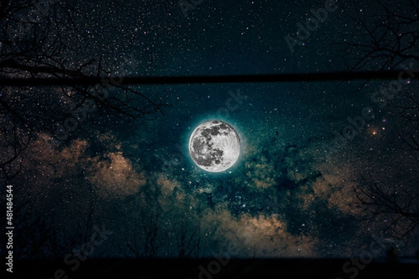 Obraz Full wolf moon