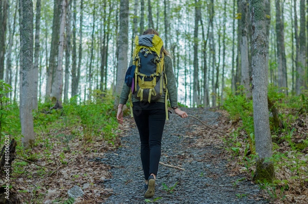 Obraz person in a forest