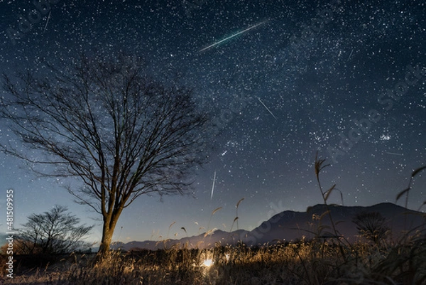 Obraz ふたご座流星群　朝霧高原にて