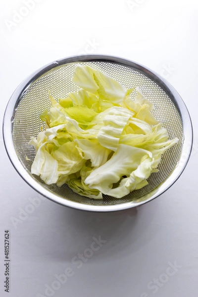 Obraz カットキャベツ　キャベツ