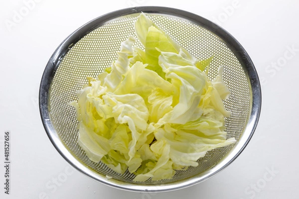 Obraz カットキャベツ　キャベツ