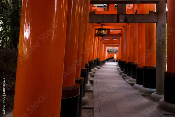 Fototapeta 京都　千本鳥居　伏見稲荷大社