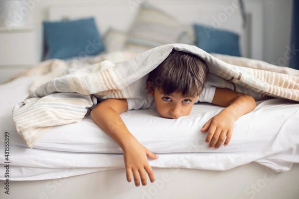 Obraz boy child is lying in bed under striped blanket and does not want to sleep , insomnia and fun