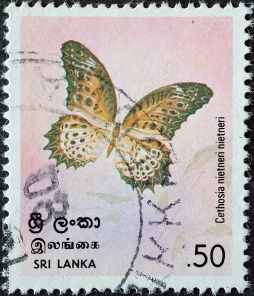 Fototapeta Sri Lanka - circa 1978: a postage stamp from Sri Lanka, showing a butterfly Tamil Lacewing Cethosia-nietneri, Butterflies series, circa 1978