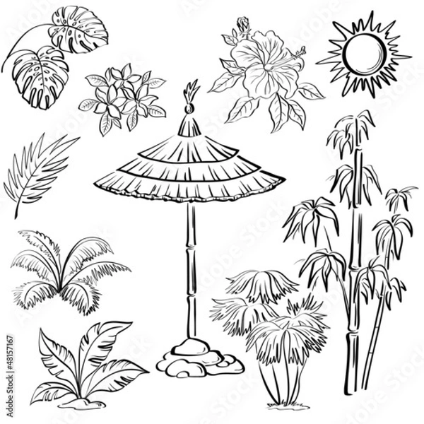 Fototapeta Exotic objects set, outline