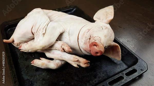 Obraz the carcass of a small dairy fresh piglet lies on the Protvin. preparation of an exquisite festive pork dish