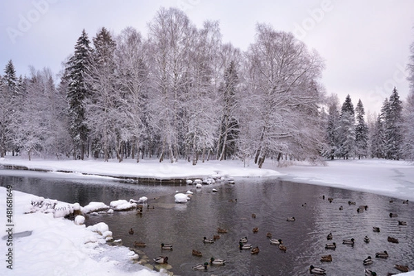 Obraz Beautiful winter landscape.