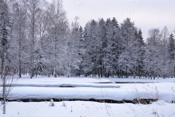Obraz Beautiful winter landscape.