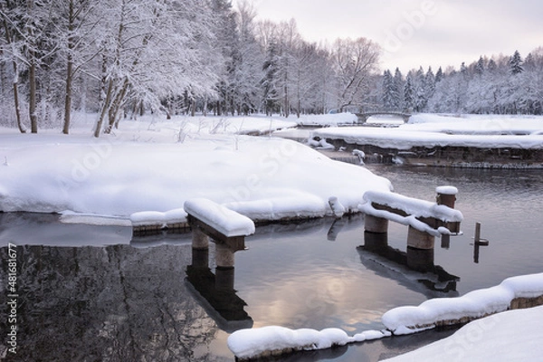Obraz Beautiful winter landscape.