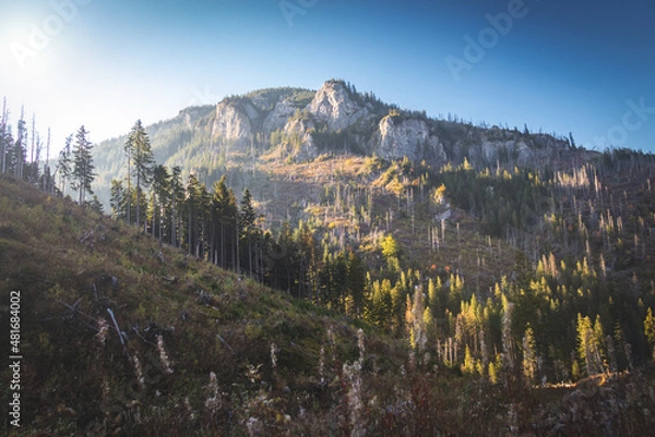 Obraz Tatry Zachodnie