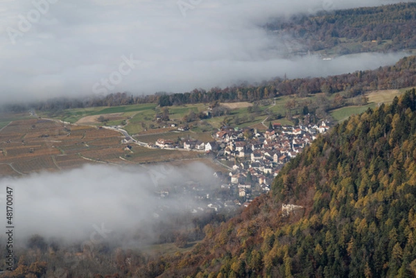 Obraz Nebel in der Herrschaft