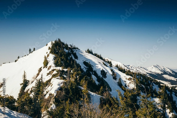 Fototapeta Mountains, coniferous forest in the snow, spring, winter