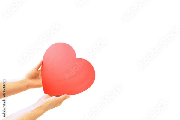 Obraz 赤いハートを持つ女性の手　愛情　ありがとう　お礼　贈り物イメージ白背景素材
