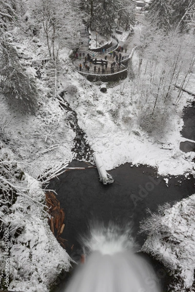 Obraz waterfall in winter
