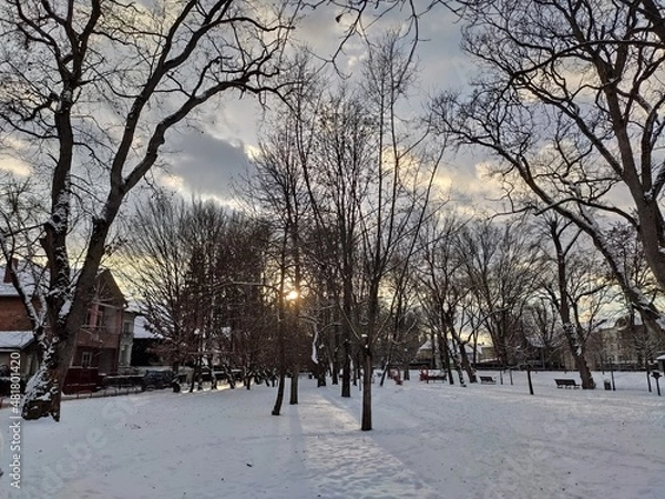 Fototapeta Apus  de soare in parcul din   Bistrita,Romania in januarie 2022