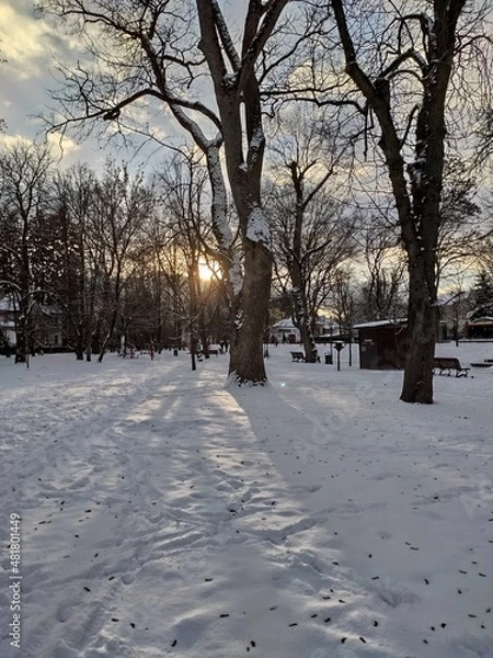 Fototapeta Apus  de soare in parcul din   Bistrita,Romania in januarie 2022