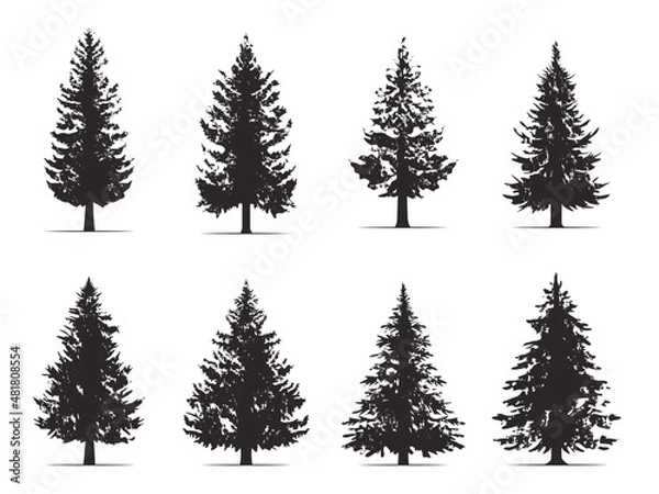 Fototapeta Vintage trees and forest silhouettes set in monochrome style. Set. Silhouette of pine trees.