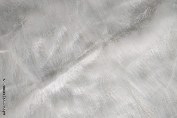 Obraz white soft hair texture
