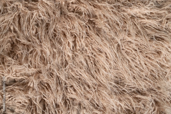 Obraz straw beige hair texture