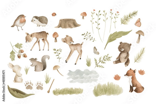 Obraz Woodland Animals watercolor forest illustration baby illustration