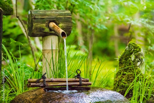 Obraz シシオドシ、鹿威し、苔