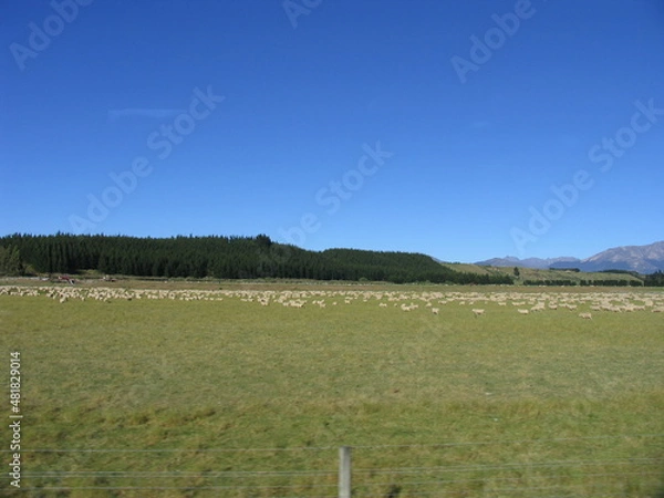 Obraz ニュージーランド、青空