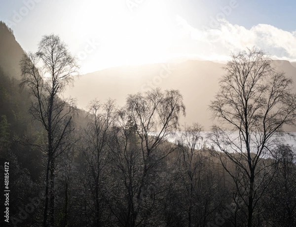 Obraz Woodland views overlooking the mountains and lakes .
