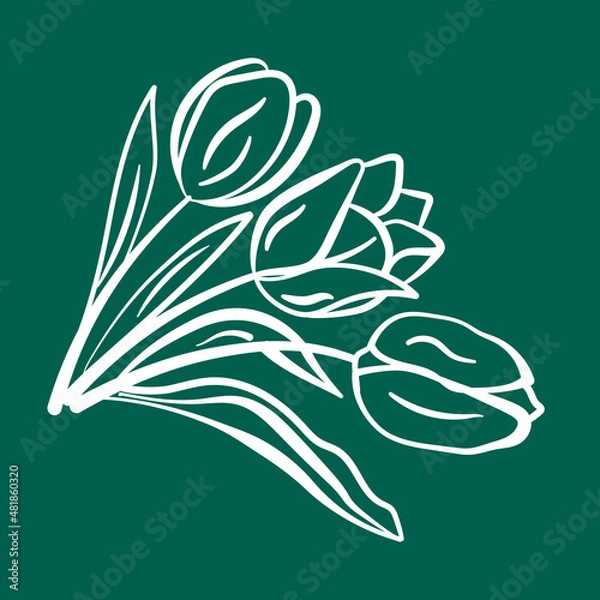 Obraz Flowers Tulips drawn with a white line by hand. Vector drawing of flowers with one stroke without filling. All strokes are editable.