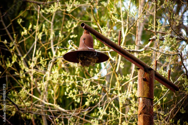 Obraz природа и заброшенное