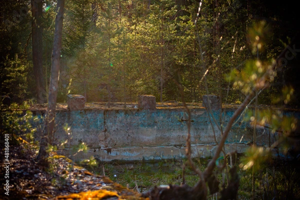 Obraz природа и заброшенное