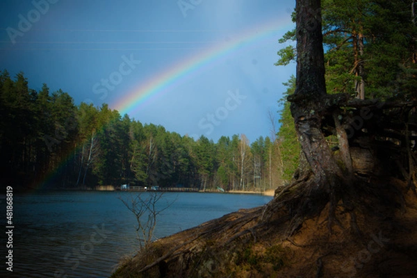 Obraz Природа и заброшенное