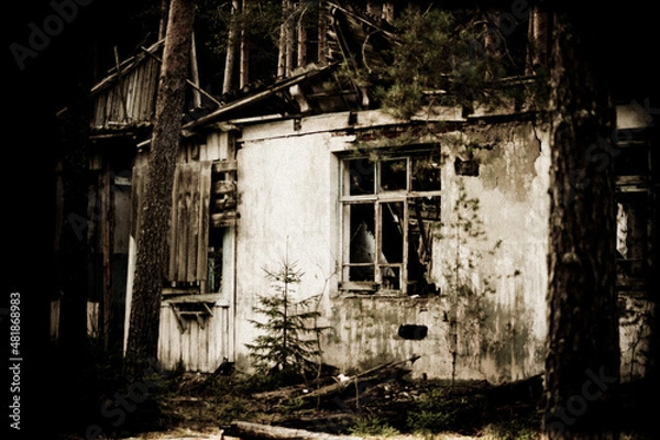 Obraz Природа и заброшенное