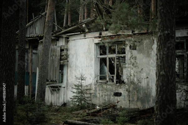 Obraz Природа и заброшенное