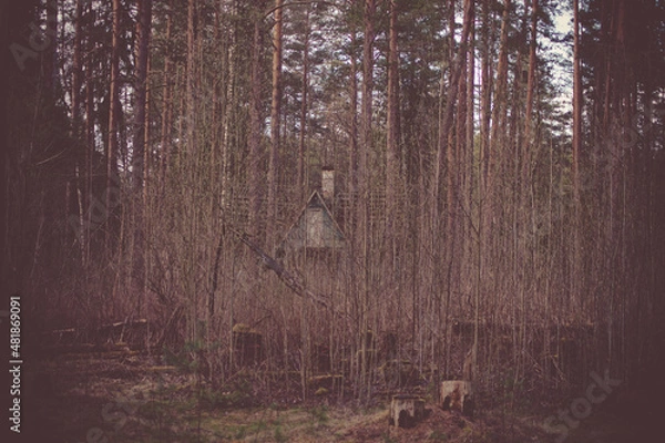 Obraz Природа и заброшенное