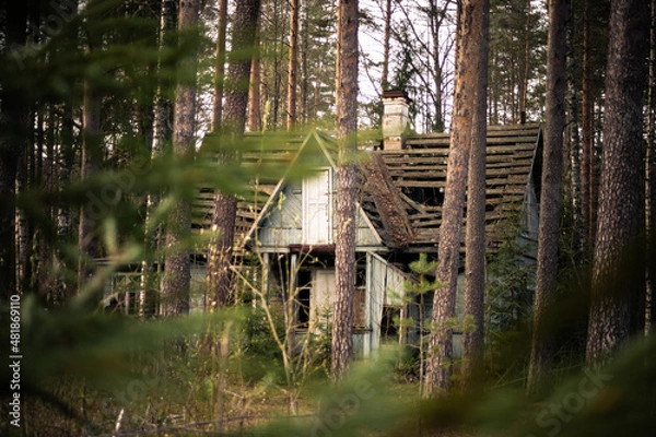 Obraz Природа и заброшенное