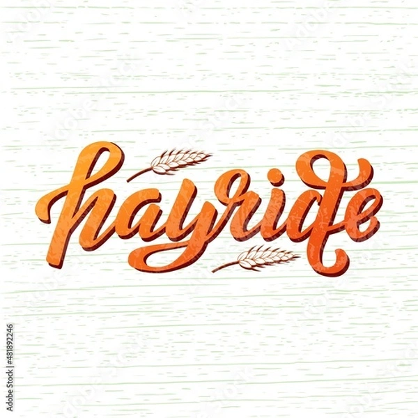 Fototapeta Hand drawn vector illustration with color lettering on textured background Hayride for festival, picnic, event, invitation, decoration, celebration, sticker, card, print, poster, banner, template