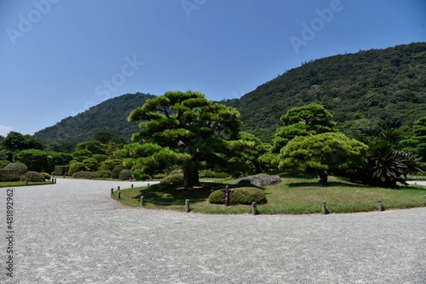 Obraz 栗林公園の松