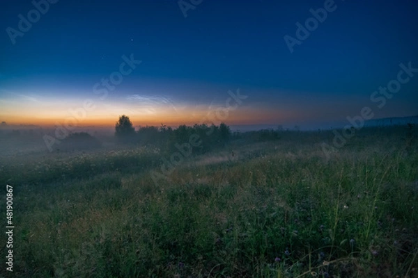 Fototapeta Noctilucent clouds over misty field