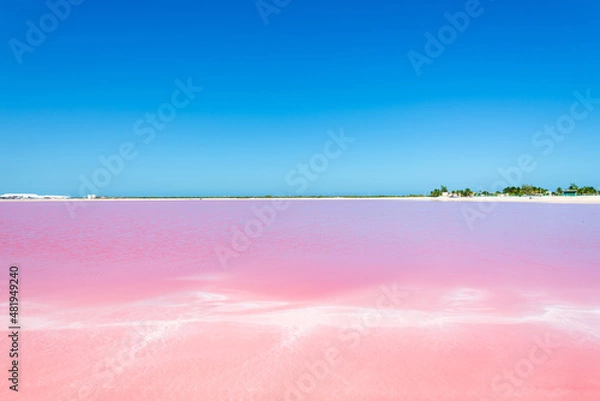 Obraz Las Coloradas