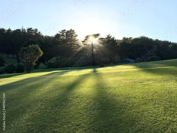 Fototapeta Golf course