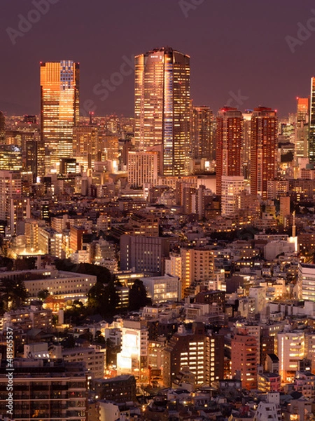 Fototapeta 六本木ヒルズと東京の夜景