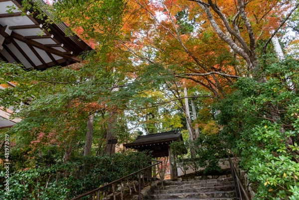 Obraz 秋の大原三千院