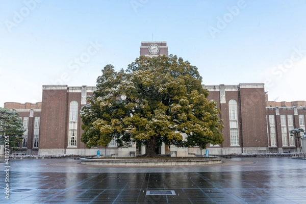 Obraz 雪の京都大学時計台