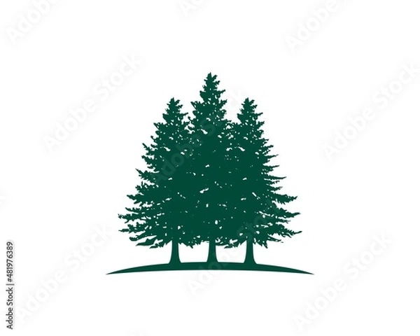 Obraz pine tree woods park vector logo