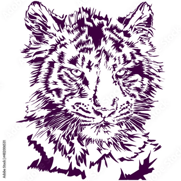 Obraz sketch of a tiger