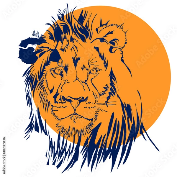 Obraz lion head vector