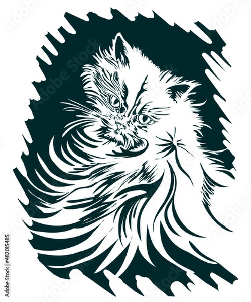 Obraz cat 