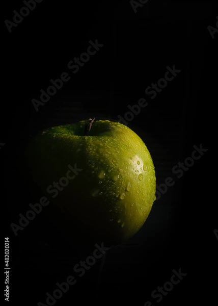 Fototapeta A green apple sitting in complete darkness with light shining on it from one side
