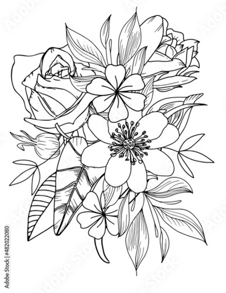 Obraz Abstract vector flowers coloring page